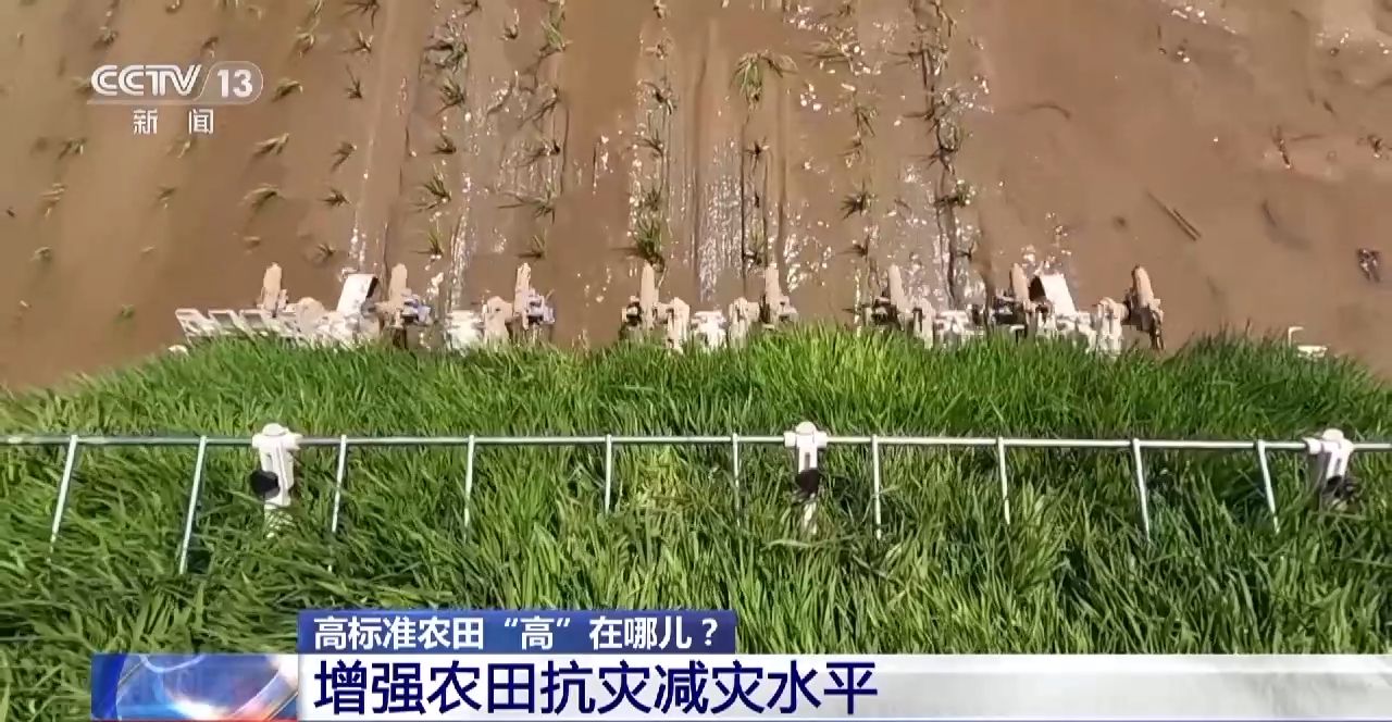 全國累計超10億畝的高標準農田，“高”在哪兒？