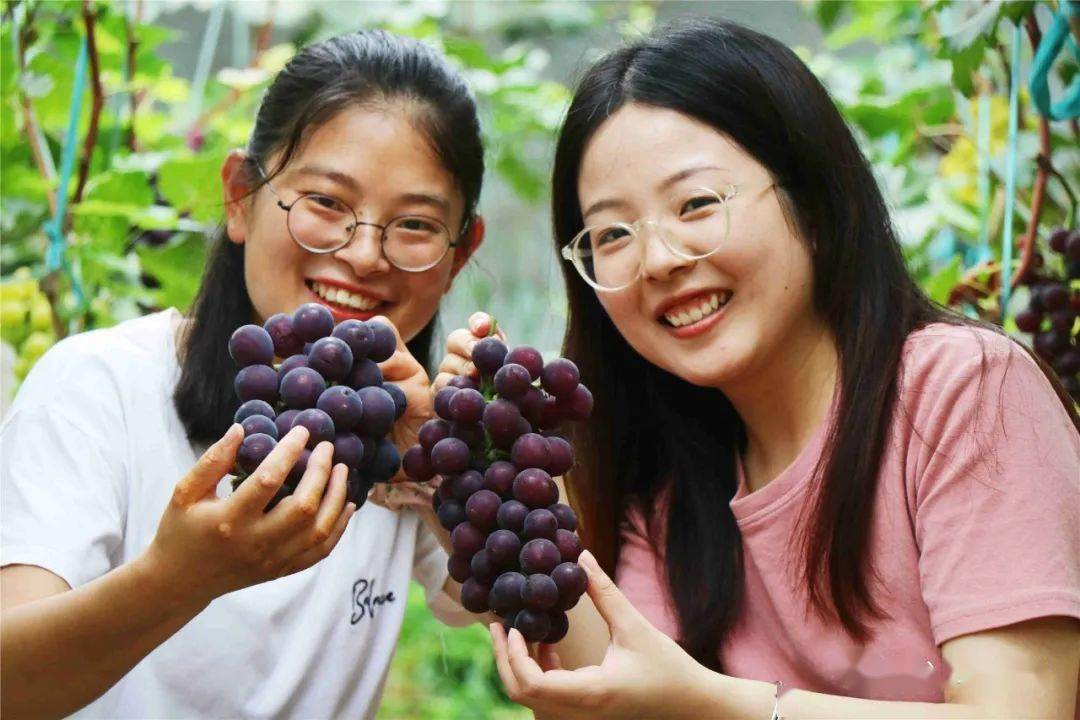 讓鄉(xiāng)親們的錢袋子鼓起來
