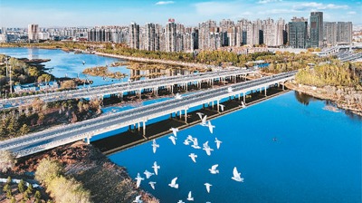 協(xié)同發(fā)展，京津冀書寫精彩答卷