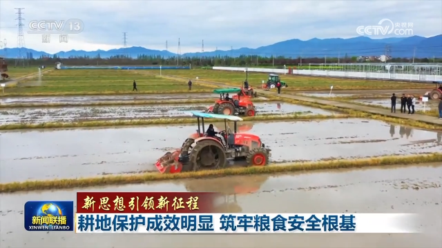 耕地保護成效明顯 筑牢糧食安全根基