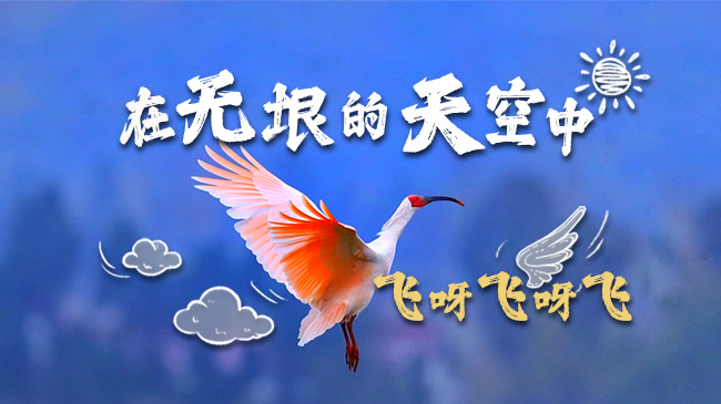 國際生物多樣性日丨它們合唱的“挖呀挖呀挖”驚艷世界