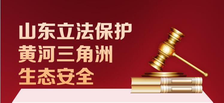 長圖丨山東立法保護黃河三角洲生態(tài)安全
