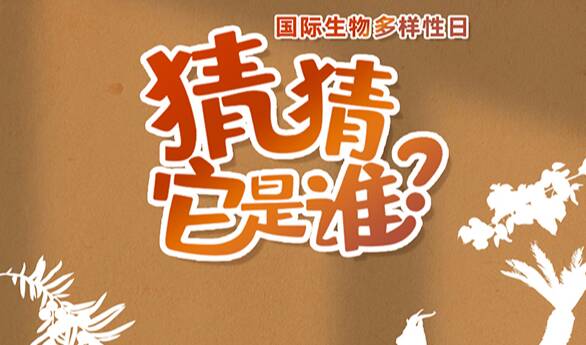 “國際生物多樣性日”特別策劃 | 猜猜它是誰？