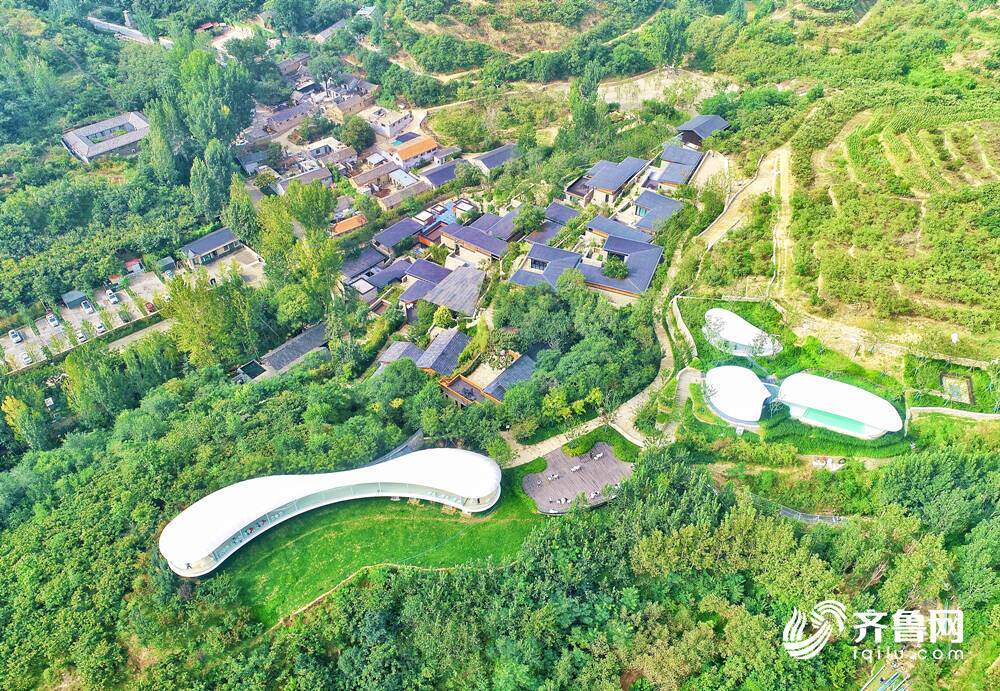 “農”墨重彩！山東這樣深入打造鄉(xiāng)村振興齊魯樣板