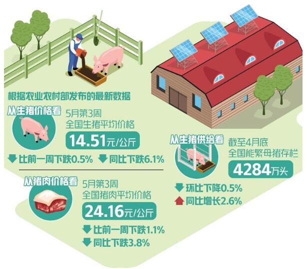 豬肉價(jià)格為何持續(xù)低迷