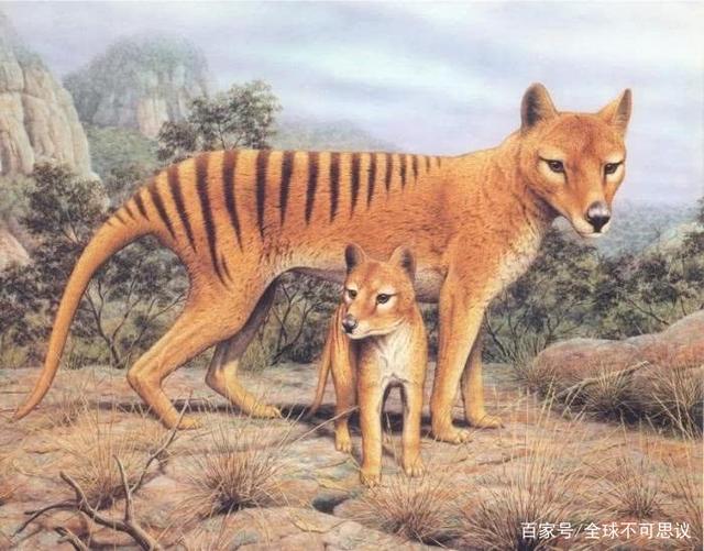 基因技術能讓滅絕動物“起死回生”？