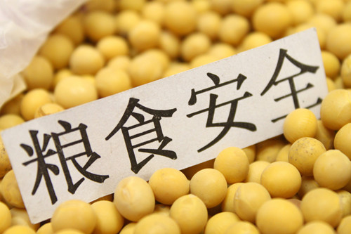 提升糧食生產能力 全方位夯實糧食安全根基