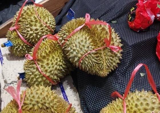 榴蓮批發(fā)價(jià)跌至20多元1斤，能否降到以前的9.9元？