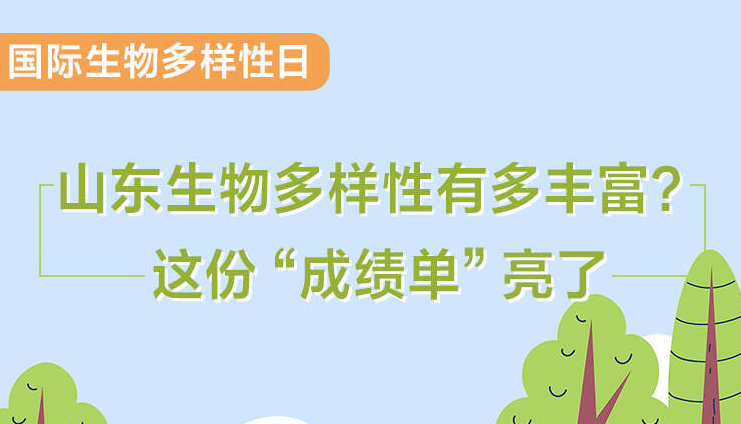 國際生物多樣性日｜山東生物多樣性有多豐富？這份“成績單”亮了