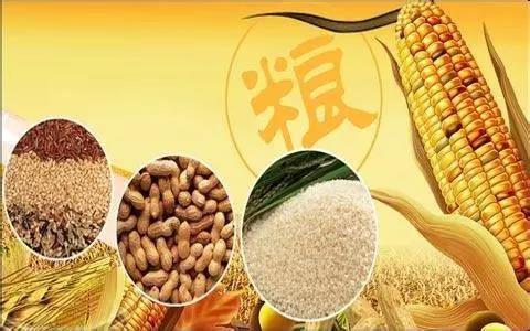 口糧自給率超過100%，人均糧食占有量約480公斤 做到谷物基本自給、口糧絕對安全