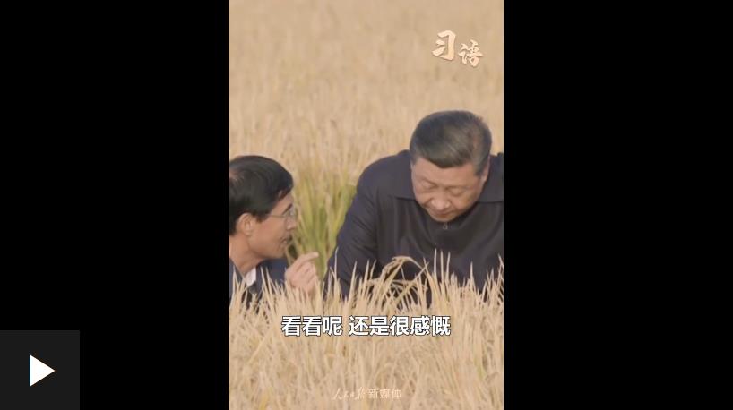 習(xí)語｜“中國人要把飯碗端在自己手里”