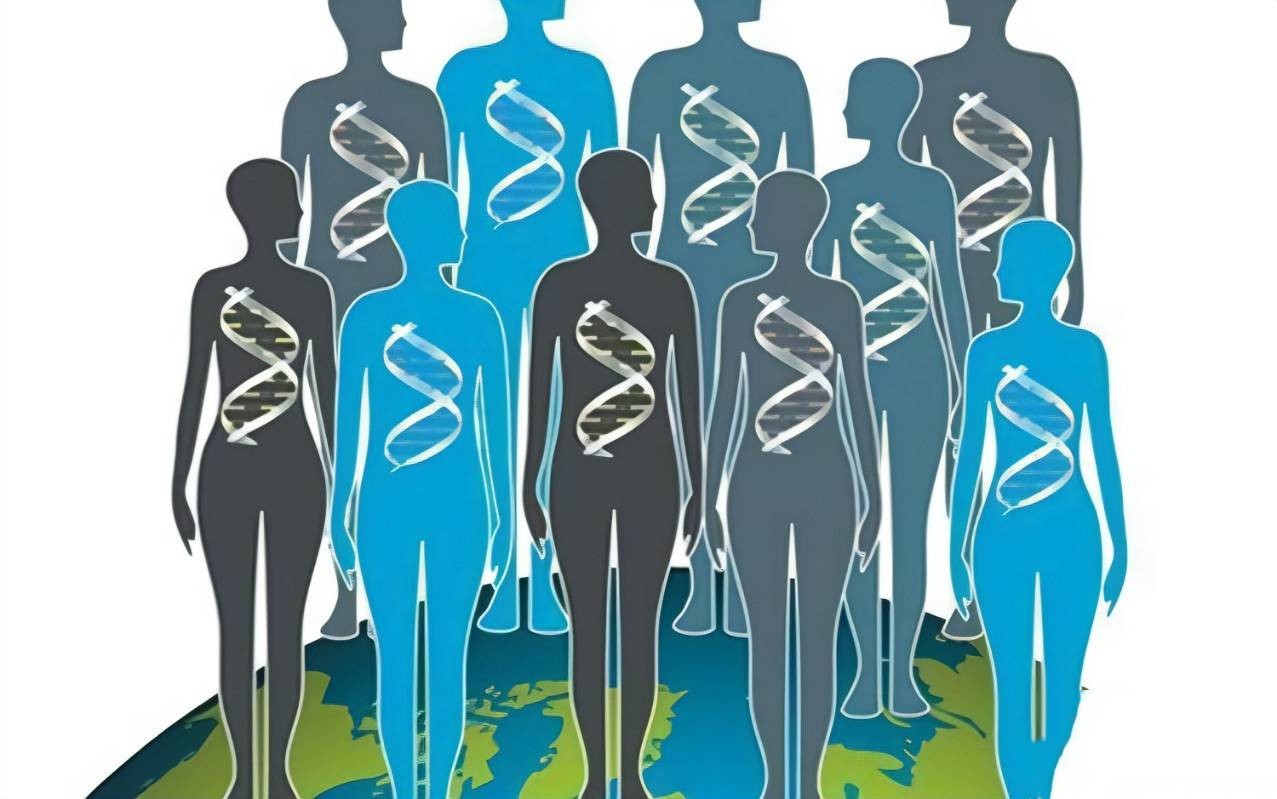 科技部印發(fā)《人類遺傳資源管理?xiàng)l例實(shí)施細(xì)則》