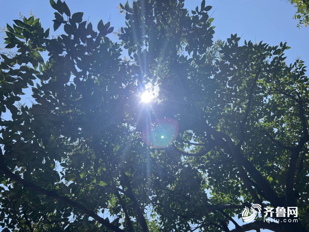 東明最高37.2℃！山東發(fā)布89個(gè)高溫預(yù)警信號(hào) 臨沂等8市高溫橙色預(yù)警