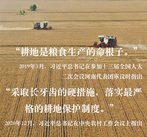 習(xí)近平總書記關(guān)切事｜藏糧于地、藏糧于技，筑牢豐收之基