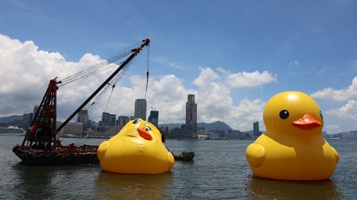“小黃鴨”完成修復(fù) 重新于香港維多利亞港展出