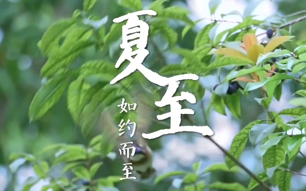 21日22時(shí)58分夏至：處處聞蟬響，遍地聽蛙鳴