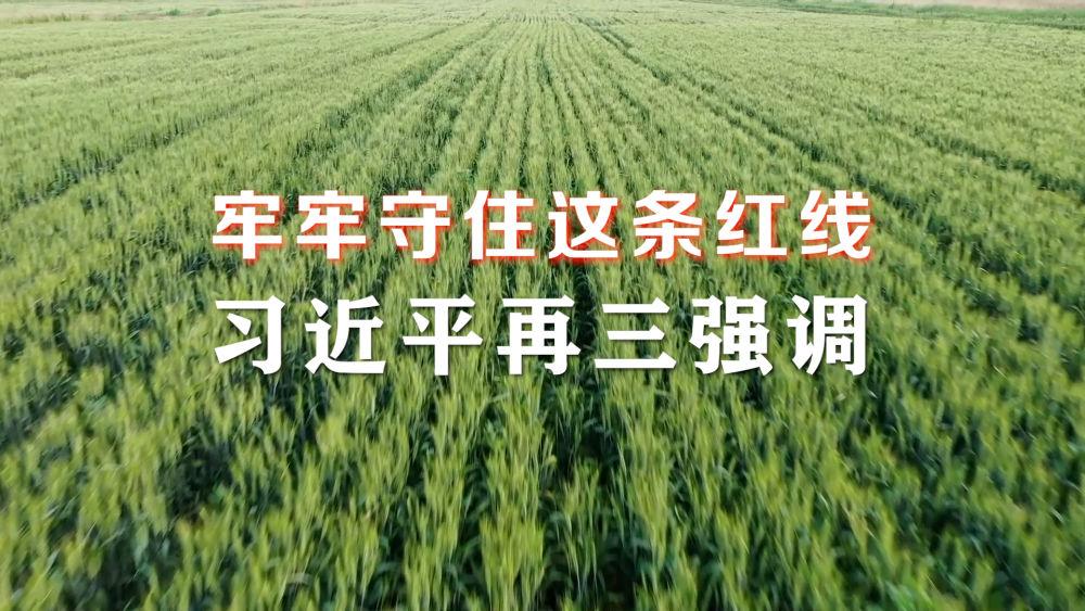 微視頻｜牢牢守住這條紅線，習(xí)近平再三強(qiáng)調(diào)