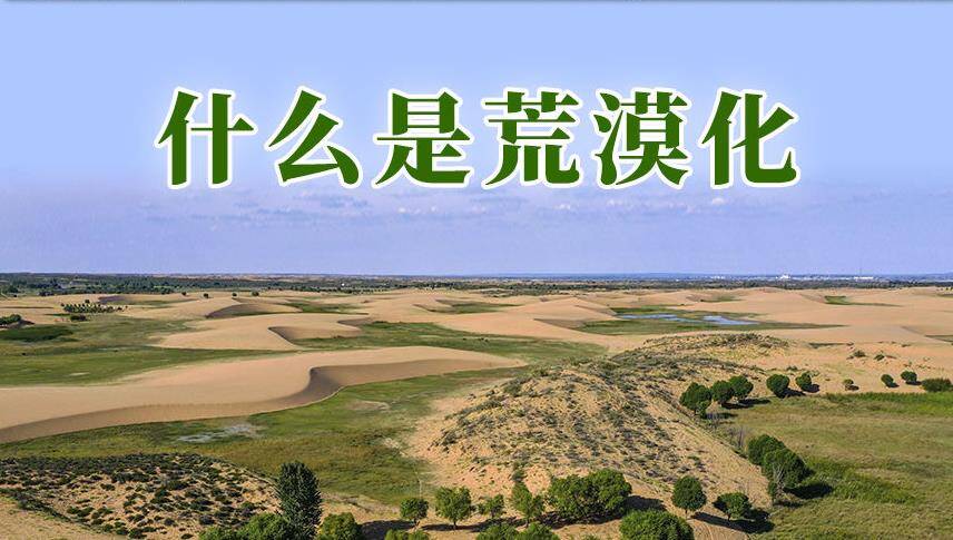 沿著總書記的足跡·新聞多一點 | 什么是荒漠化