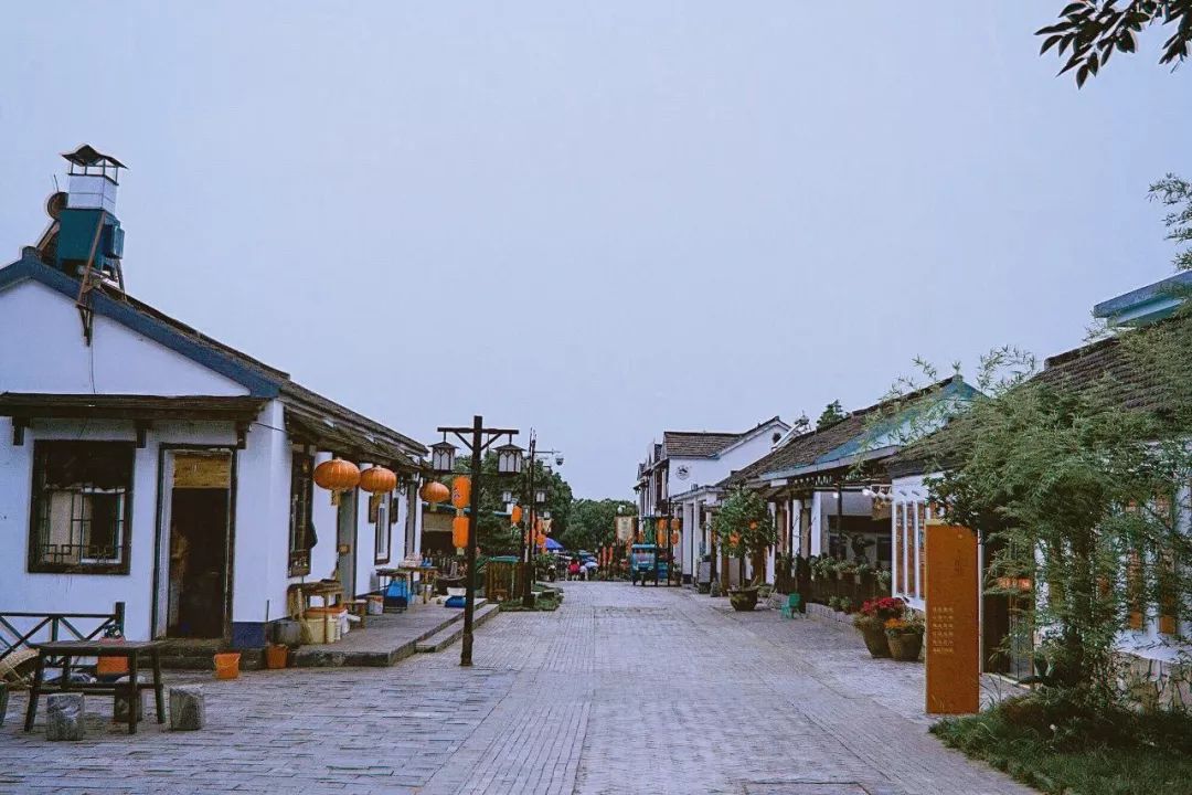 城市漫游、日行數(shù)萬步……年輕人旅游呈現(xiàn)新特點