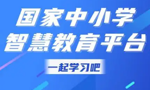 中小學智慧教育平臺又“擴容”！孩子想學的這里都有