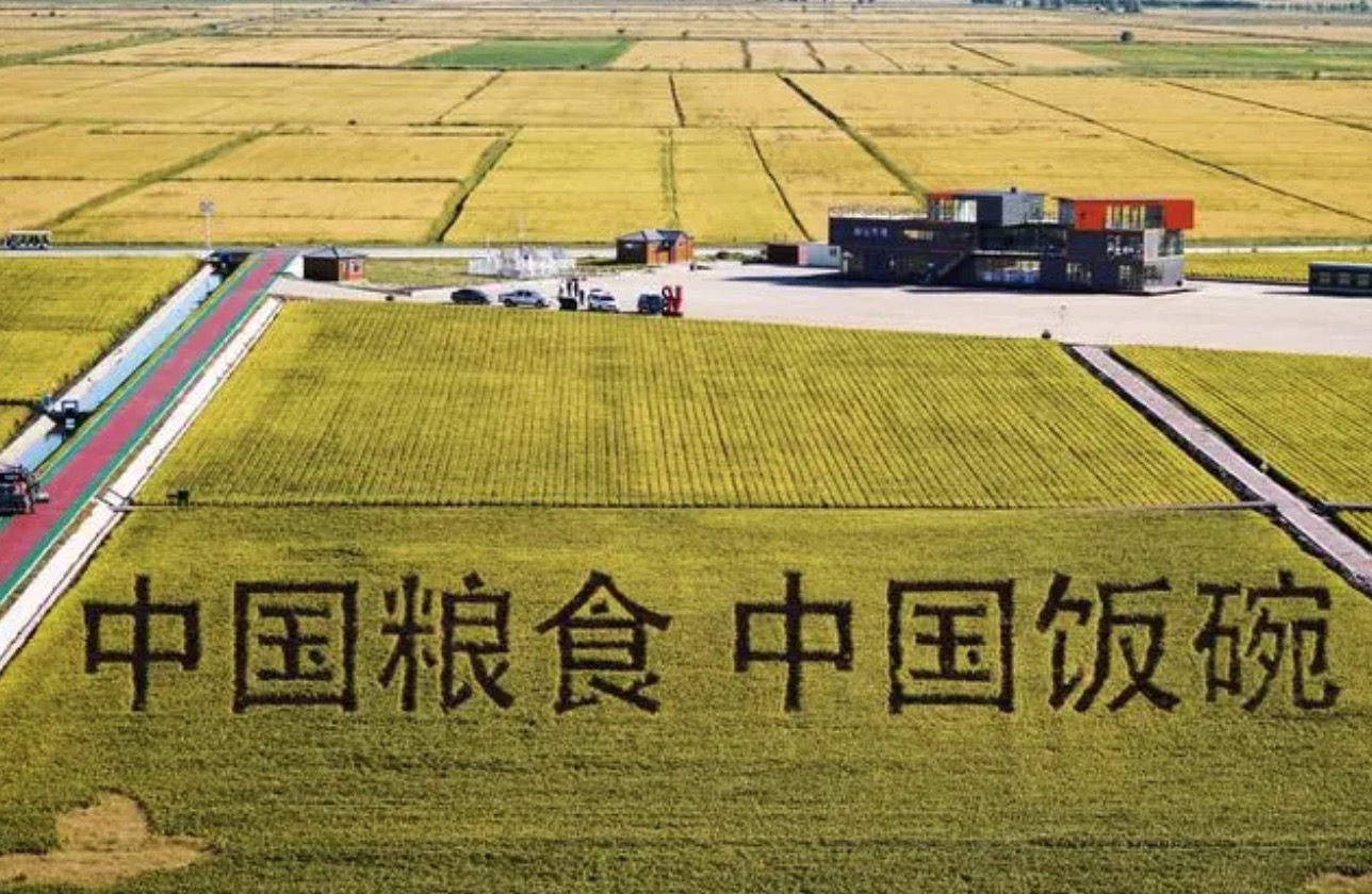 時(shí)政微觀察丨像保護(hù)大熊貓一樣保護(hù)耕地