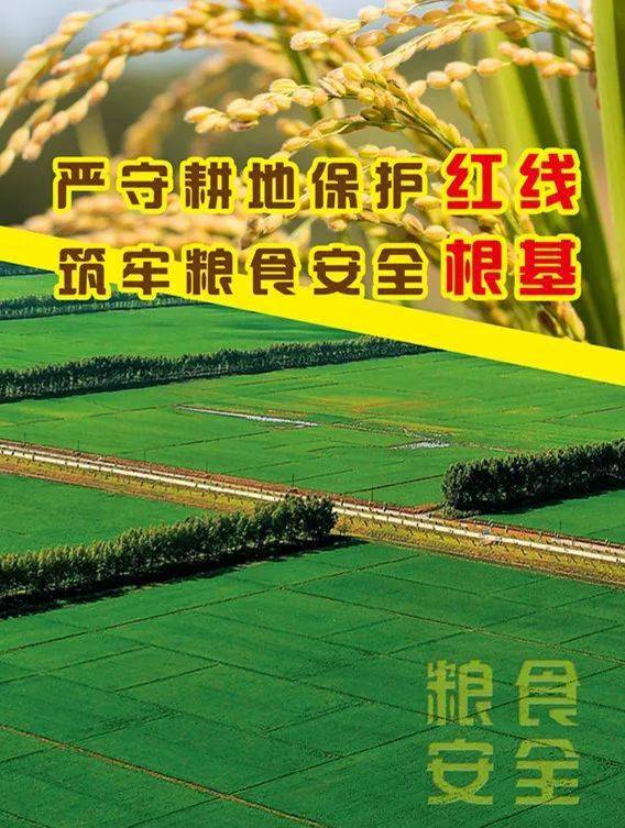 堅(jiān)決守住耕地“紅線” ！公安部重拳打擊非法占用耕地犯罪