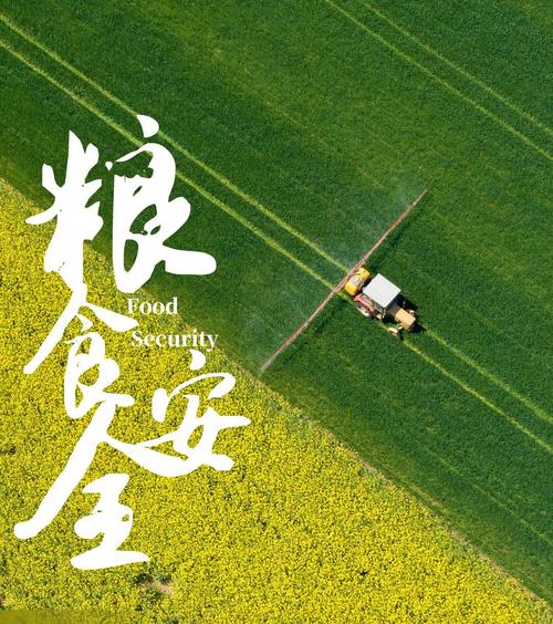 糧食安全保障法草案提請(qǐng)審議 加強(qiáng)耕地保護(hù)牢守耕地紅線