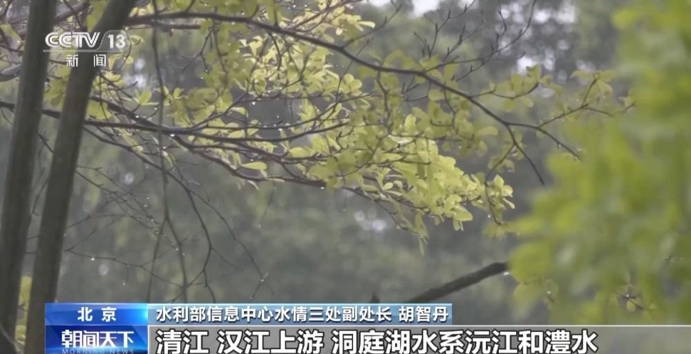 我國南方地區(qū)進(jìn)入主汛期 今年汛情主要有這些特點