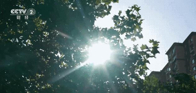 今年盛夏，全國天氣如何？最新預測！