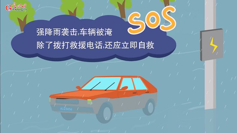 汛期行車需謹慎 車輛被淹這些自救知識要學會！