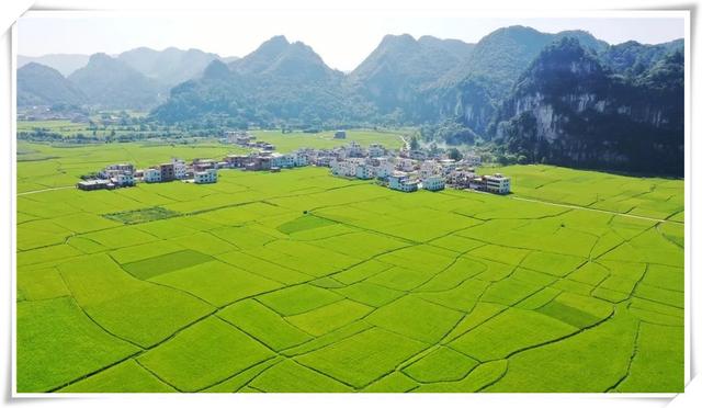 農(nóng)業(yè)農(nóng)村現(xiàn)代化穩(wěn)步前行（推動經(jīng)濟實現(xiàn)質(zhì)的有效提升和量的合理增長）