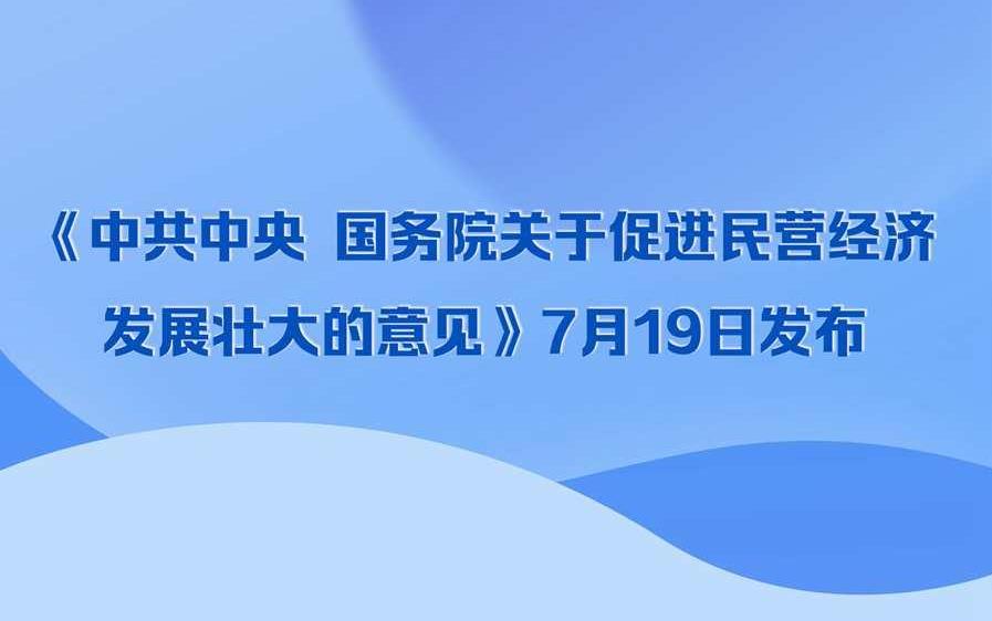 一圖速覽《中共中央 國務(wù)院關(guān)于促進(jìn)民營經(jīng)濟(jì)發(fā)展壯大的意見》