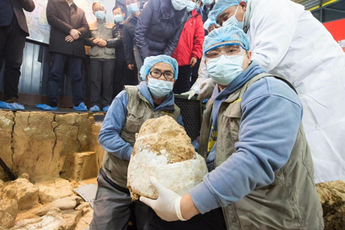 長江天際流，荊楚百萬年
