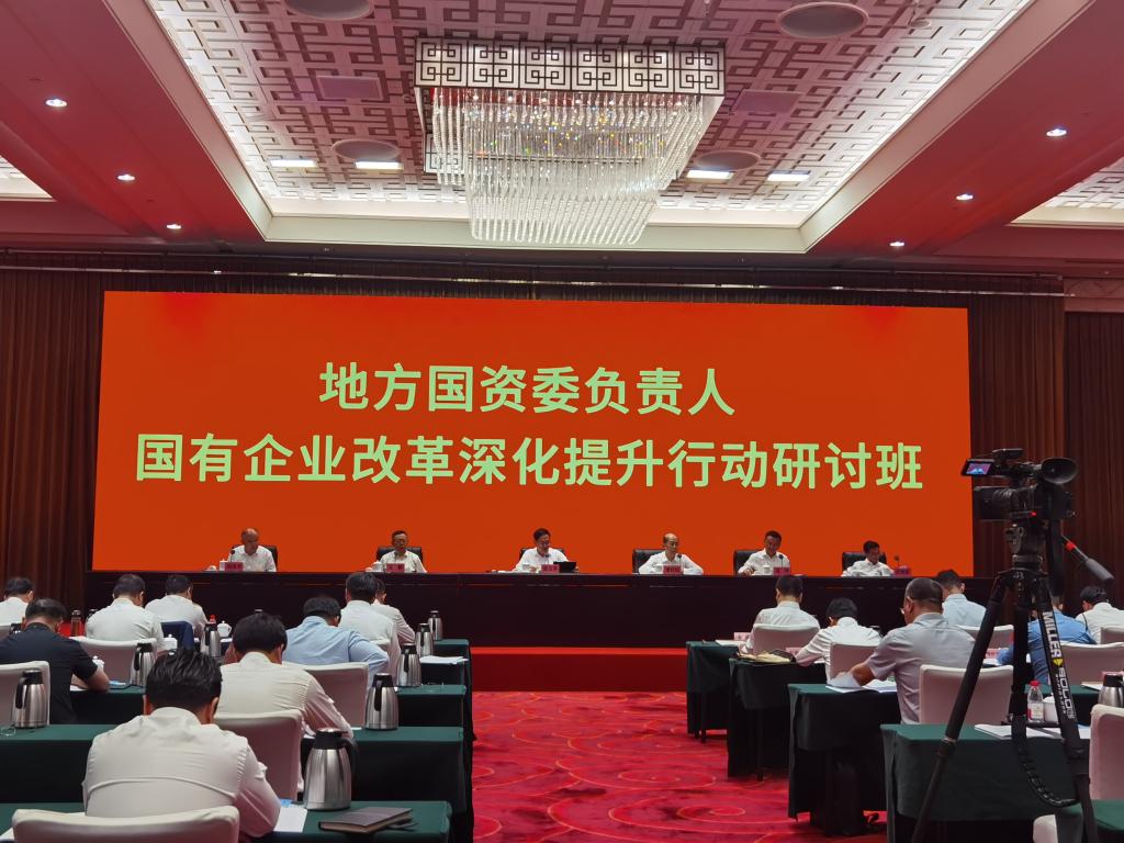 上半年我國(guó)地方國(guó)企固定資產(chǎn)投資同比增長(zhǎng)6.7%