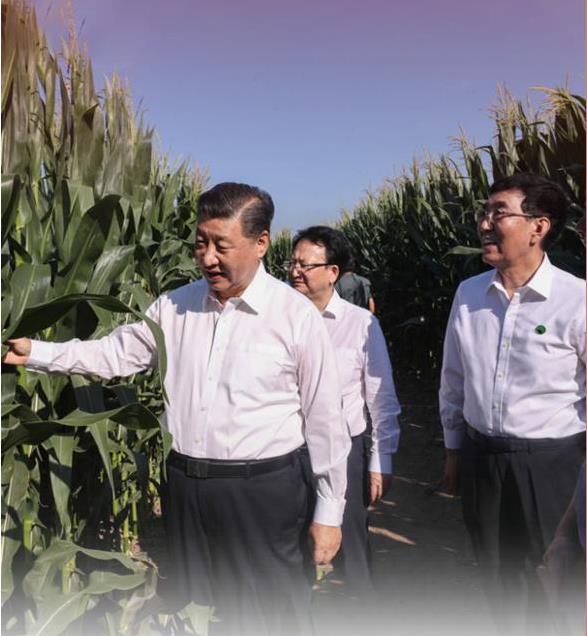 大興調(diào)查研究之風(fēng) 深入了解群眾需求