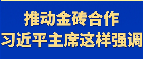推動金磚合作，習(xí)近平主席這樣強調(diào)