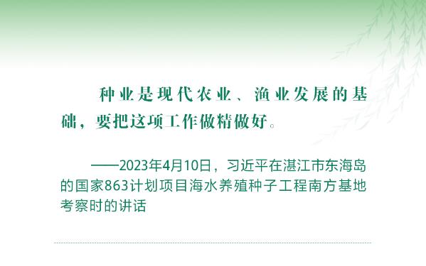 奮力耕耘正當時 習近平指引鄉(xiāng)村振興闊步前行