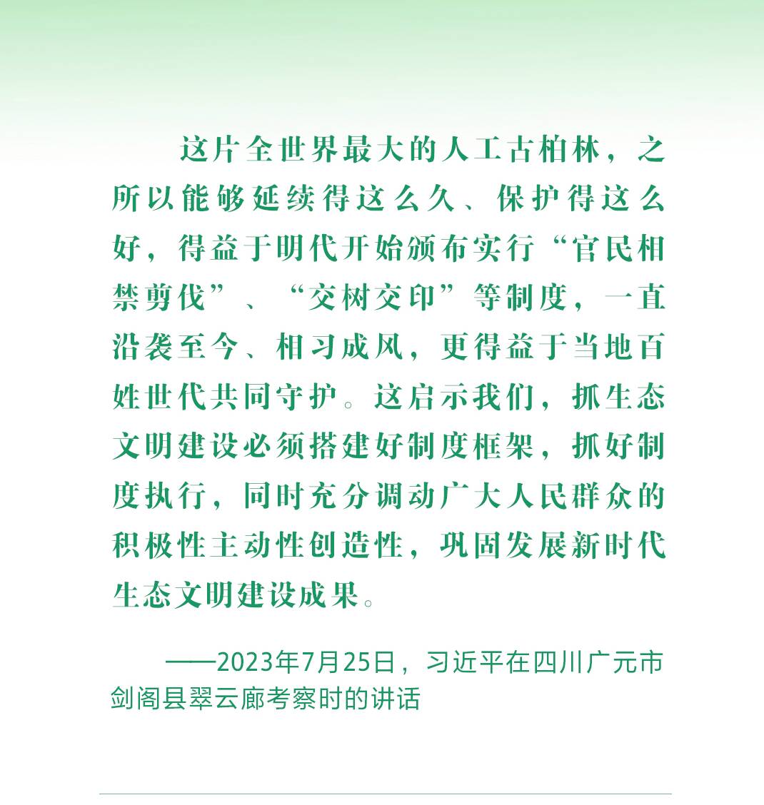 綠水青山映初心 總書記心系“綠色中國(guó)”