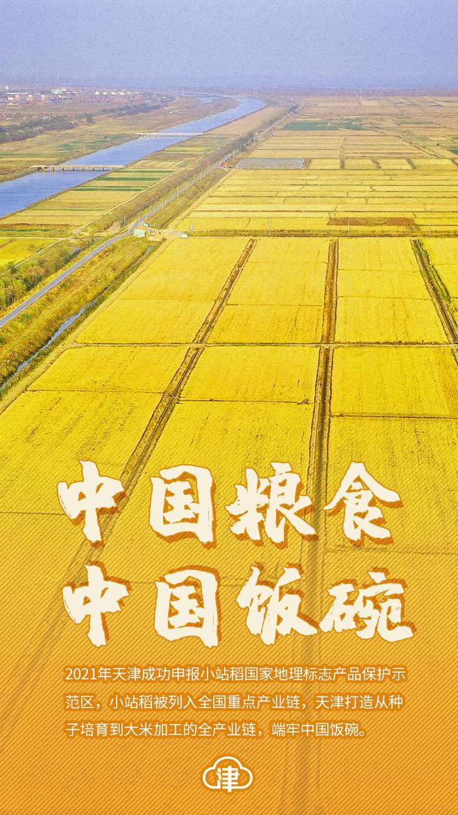 五組數(shù)據(jù)看“中國飯碗”之穩(wěn)