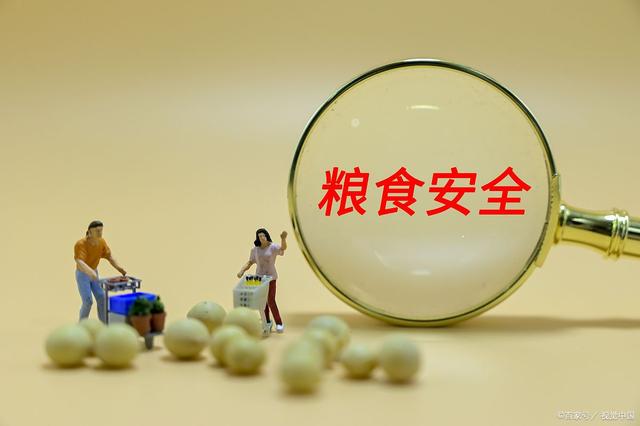 糧食安全防線如何筑牢？8個方面保障安全