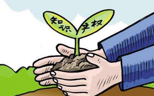 中國(guó)已基本形成便民利民知識(shí)產(chǎn)權(quán)公共服務(wù)體系