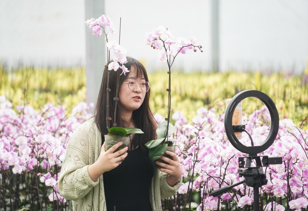 報(bào)告顯示：8類新型靈活就業(yè)招聘和求職規(guī)模均較快增長