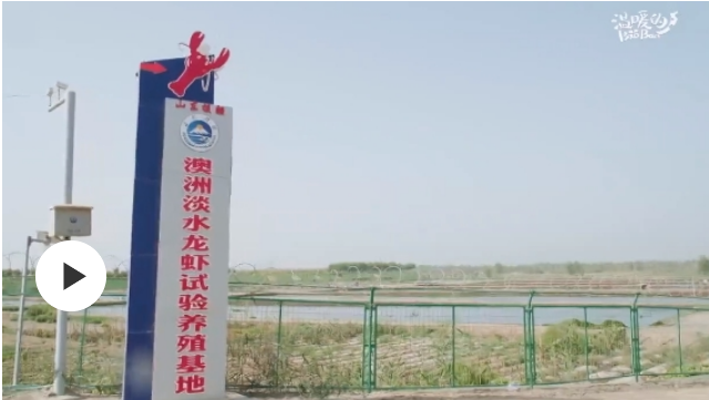 這樣一群人，跨越山海去援疆——“東蝦西移”入疆記
