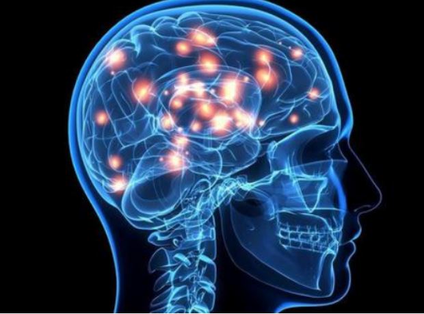 數(shù)千年間，腦容量下降了約10% 人類(lèi)的大腦是怎么“丟”的？