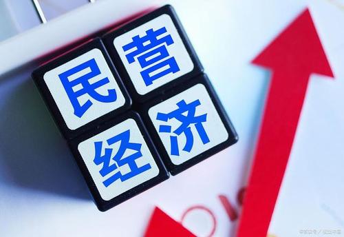 前8月進(jìn)出口規(guī)模占外貿(mào)總值52.9% 民營企業(yè)成穩(wěn)外貿(mào)主力