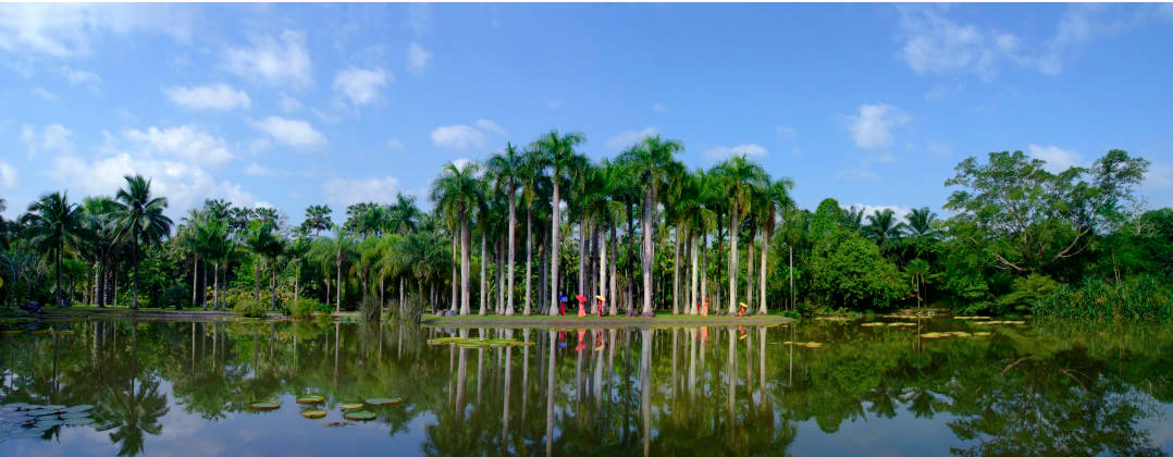 我國(guó)將再遴選14個(gè)國(guó)家植物園候選園