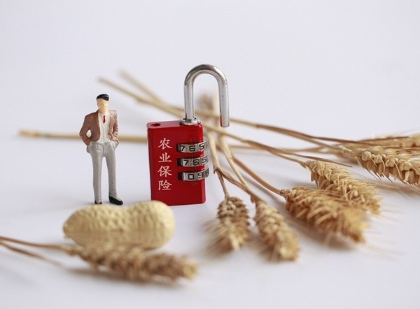 糧食安全保障法草案進(jìn)入二審 明確給予政策性保險支持