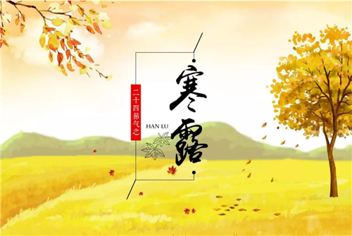 節(jié)令之美·寒露丨8日21時16分寒露：蘭衰花始白，荷破葉猶青