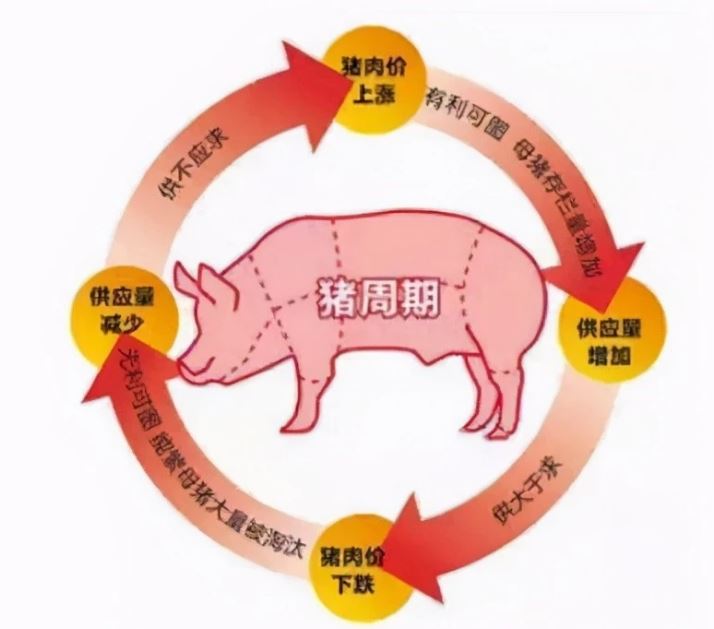 “豬周期”有了新變化