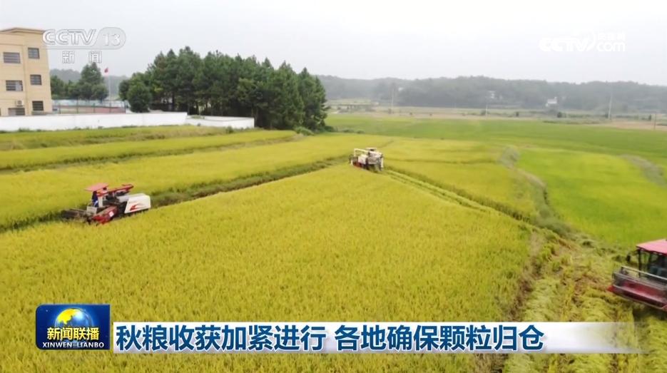 秋糧收獲加緊進行 各地確保顆粒歸倉
